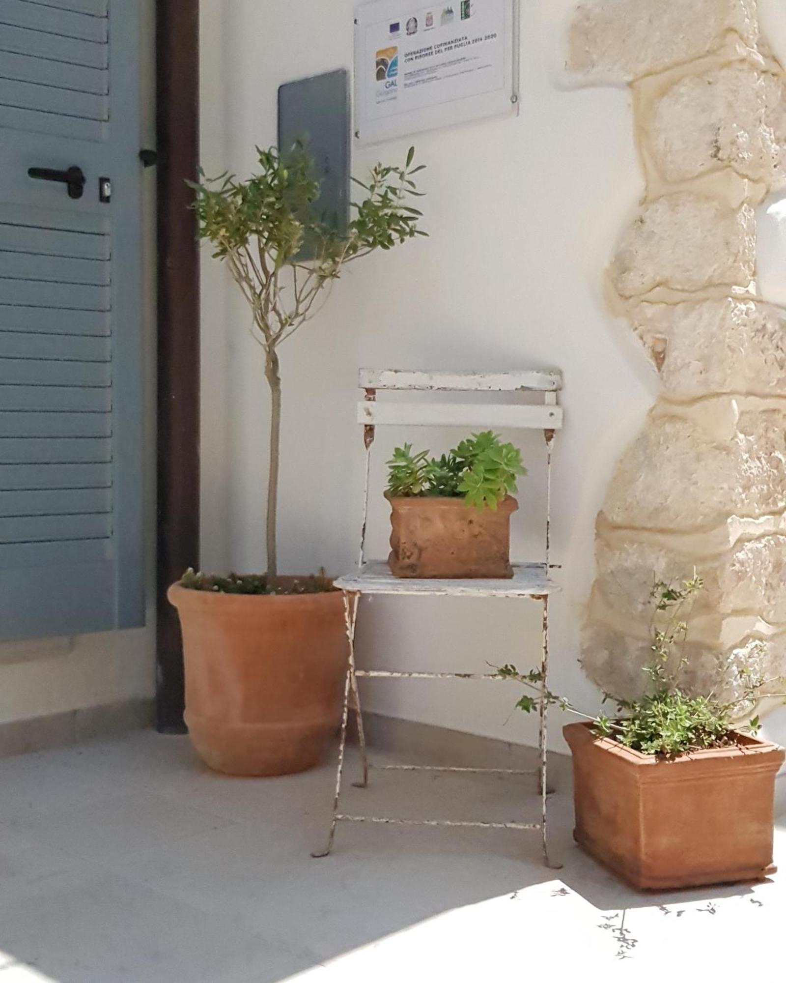 Gargara Bed And Breakfast Vico Del Gargano Exterior foto